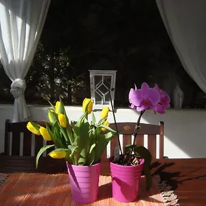 Apartment Ii
